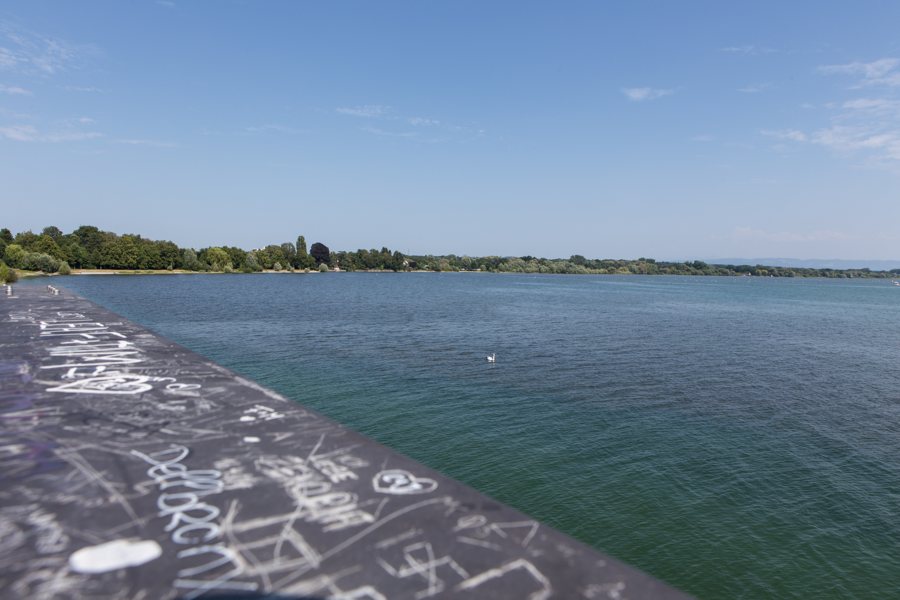 Blick über den Bodensee von einem Uferweg