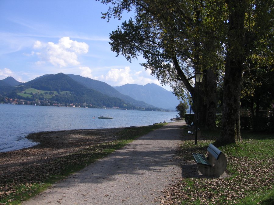 Uferweg am Tegernsee mit Baumbestand und Bergblick