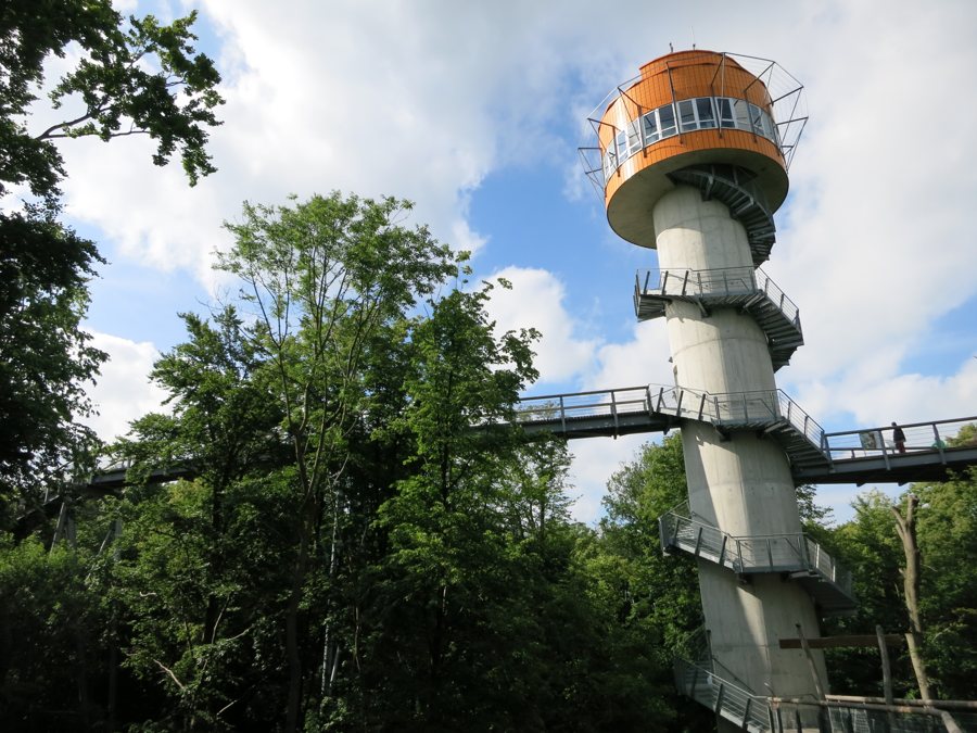 Aussichtsturm und Steg des Baumkronenpfads im Nationalpark Hainich