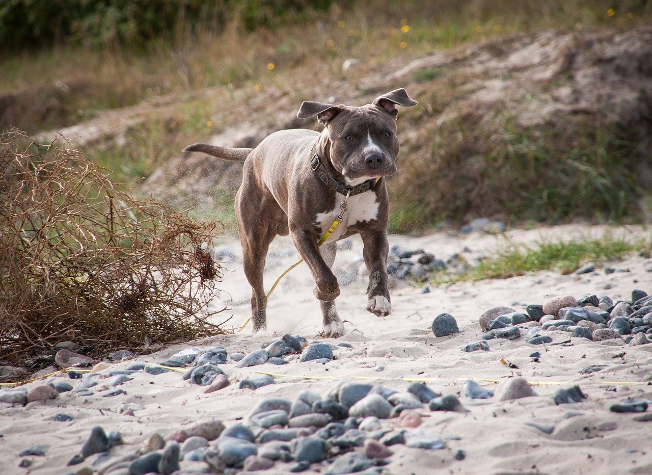 Breege auf Rügen