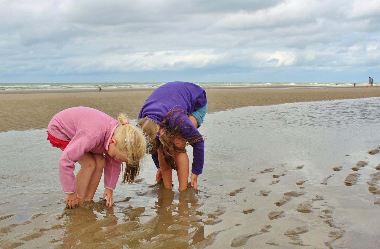 Wattenmeer