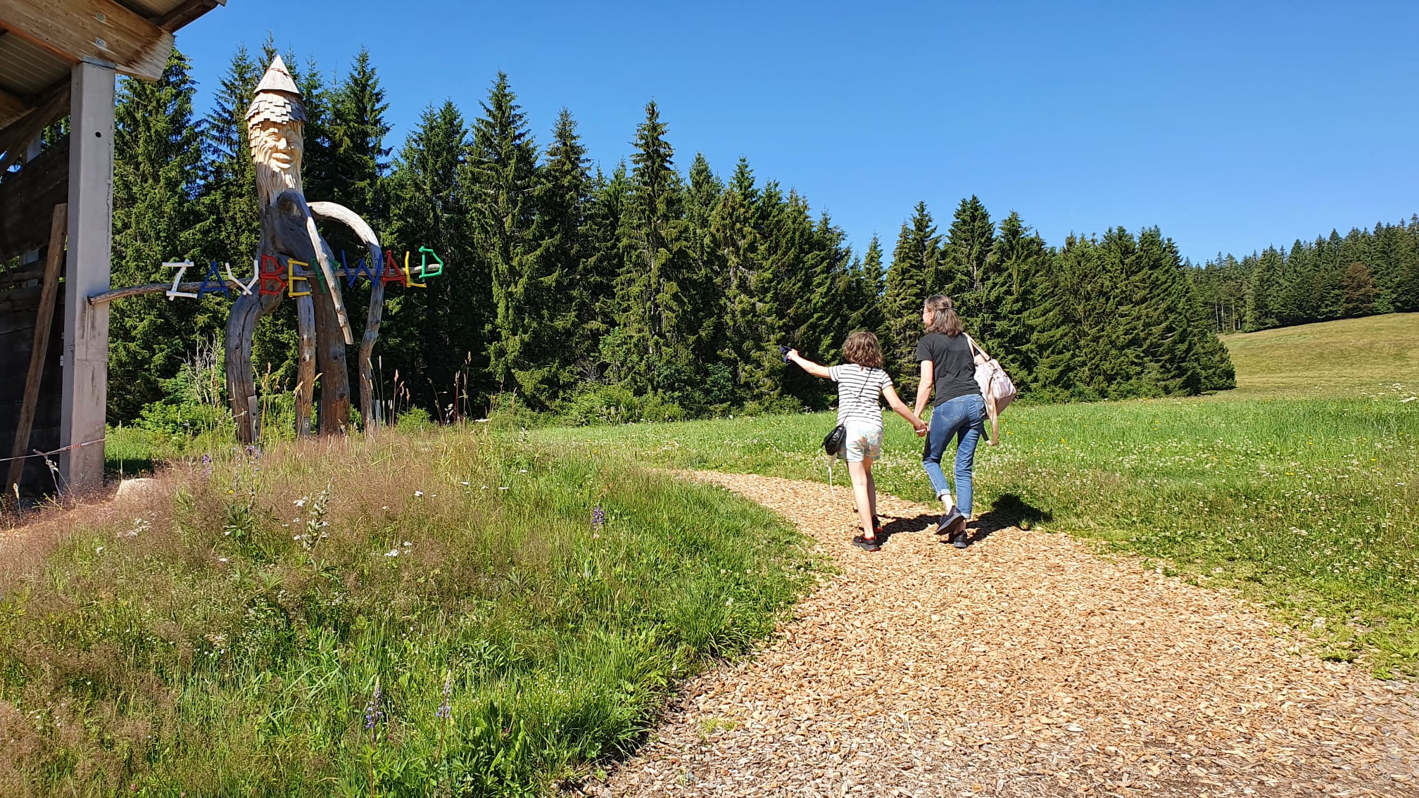 Wandern Schwarzwald, Foto: Tobis Büscher